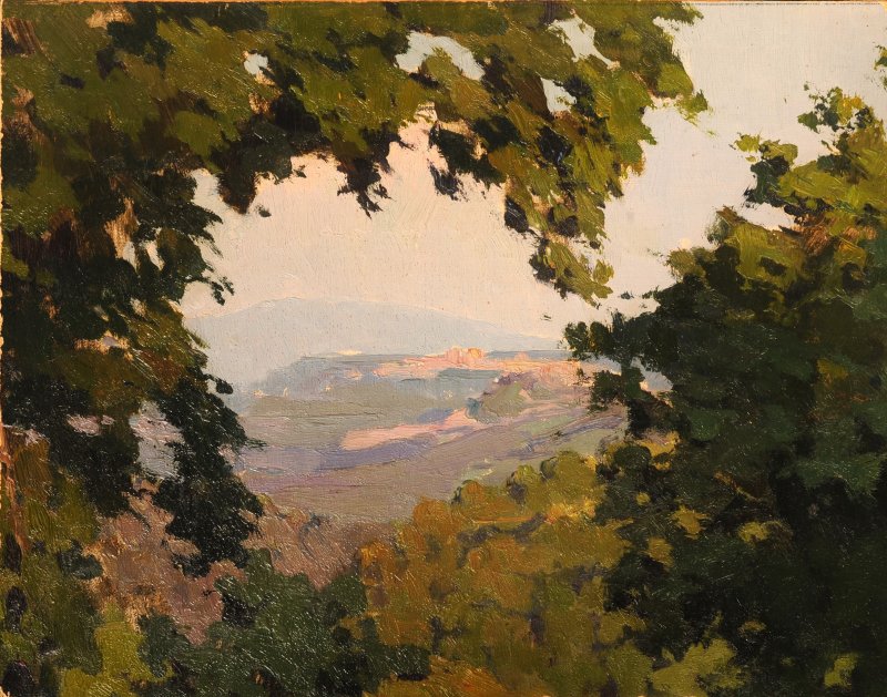 1911 - Boschi di Allerona